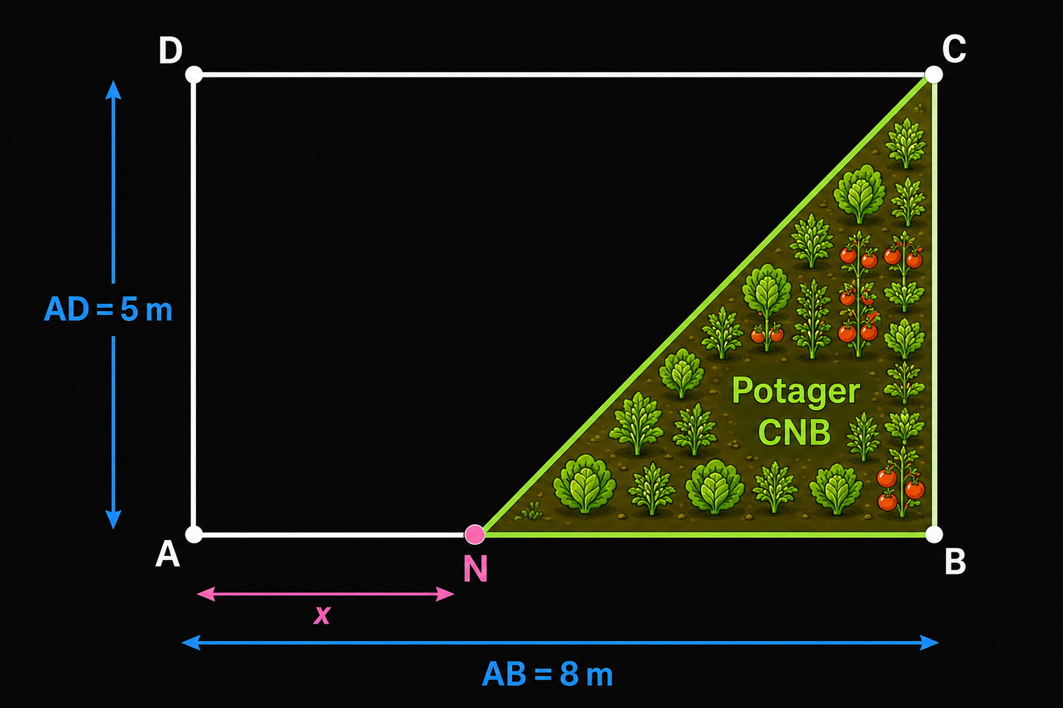 Schéma potager en permaculture