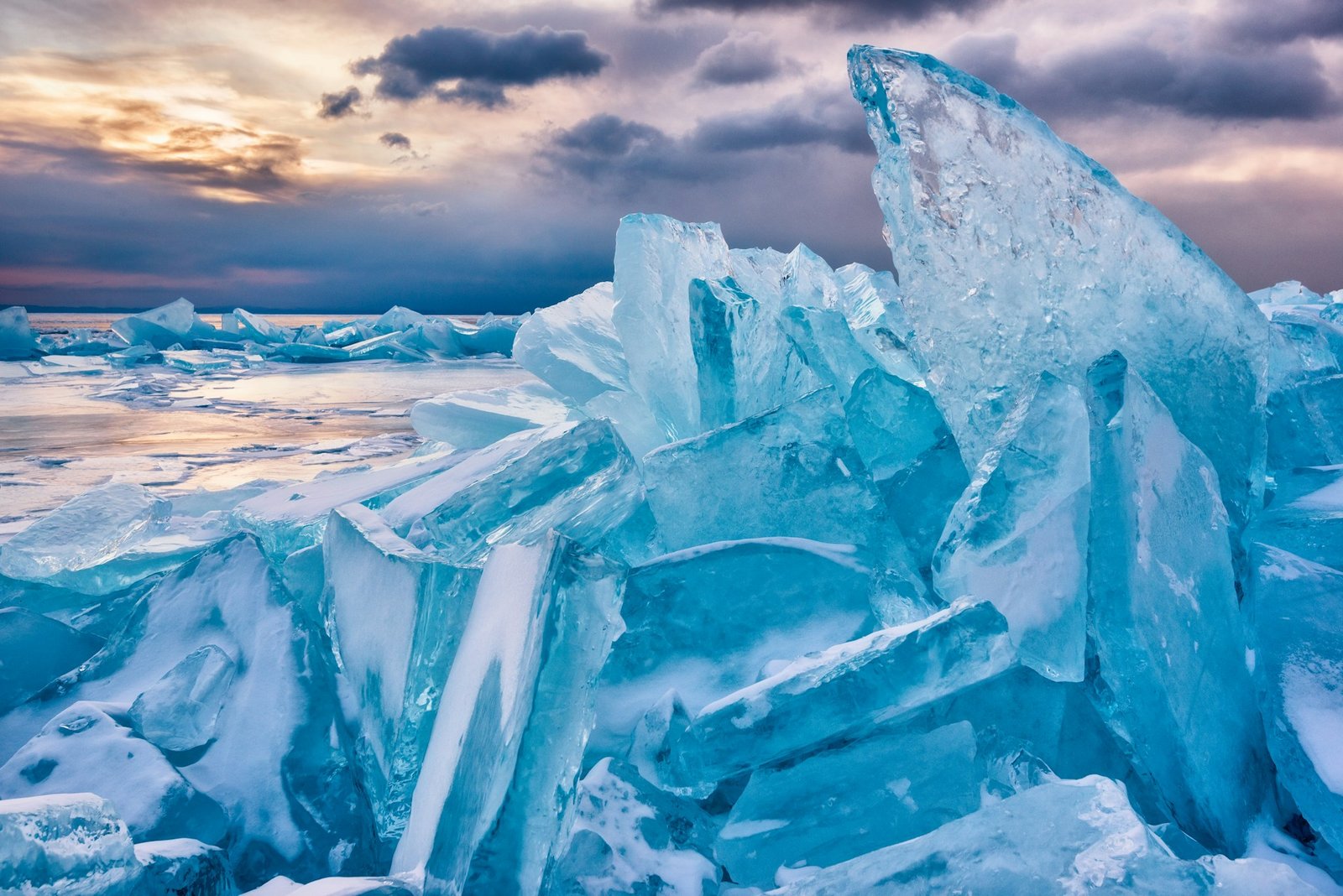 Banquise arctique